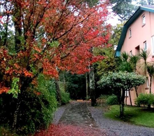 Apartamento Familia Sirangelo Γκραμάντο Εξωτερικό φωτογραφία